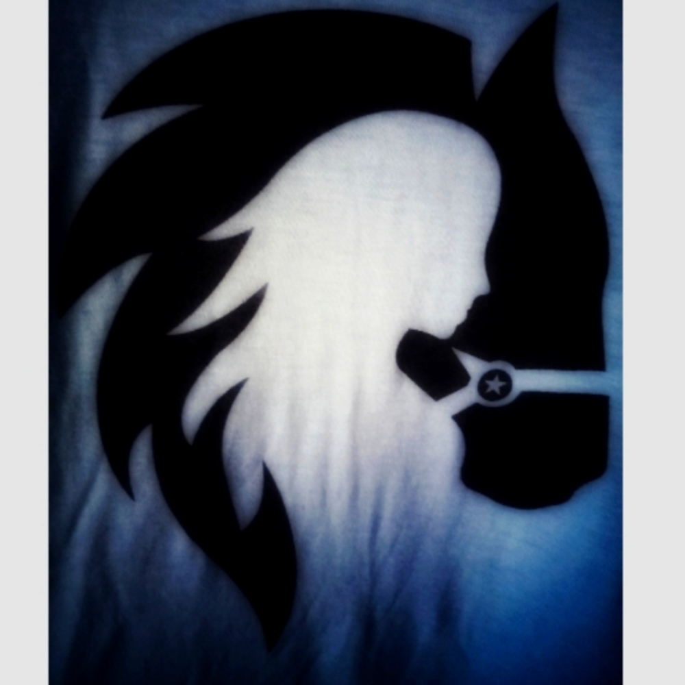 Horse shirt